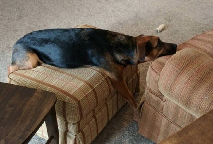 6fe7f551f786c9eae7e72e68e4