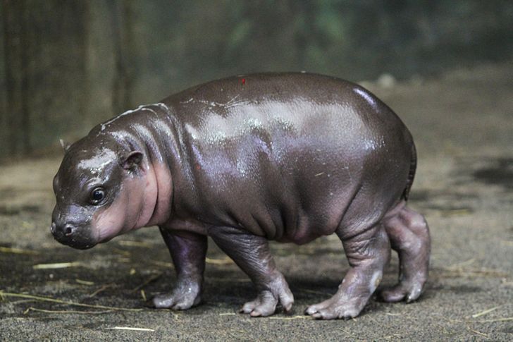 6feefa5ed3a83029c1dee4b3cc