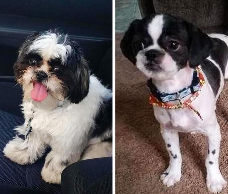 6ff478526bb6e72cbab2eb76df