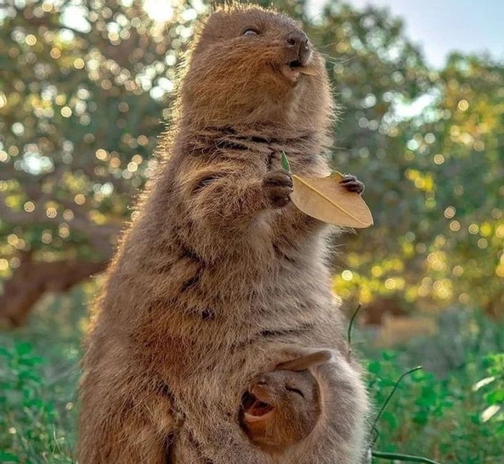 6ff997590489a65957b32adbf3