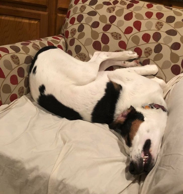 6fff8557c6b7bafb402a2563d4