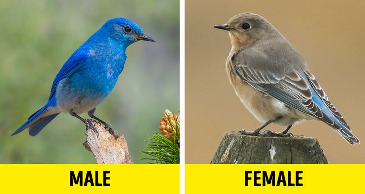 7001b557e7918383d61dd065df