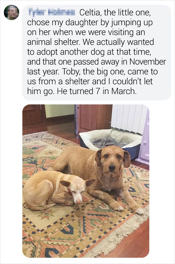 7004435a69b61e3833d88ccc3c