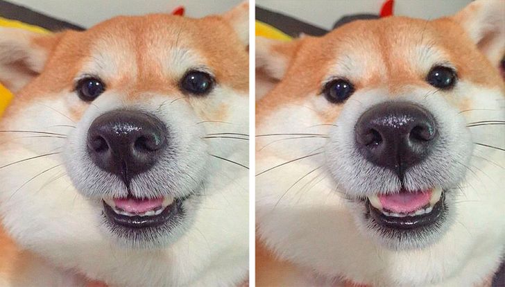 70066c54a1ae0787569c7af751