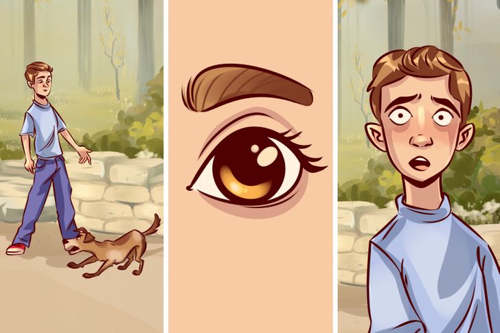 700810504dafd9458d28da725d