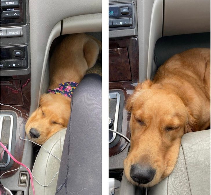 7009905a61a0ab20a7986d71e9