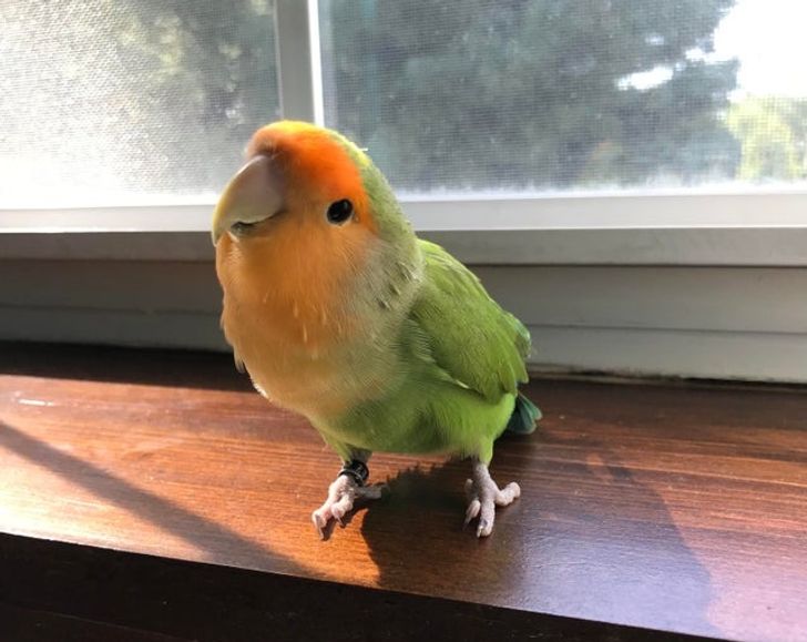 70187252fd9c2ccd60d45fbf7c