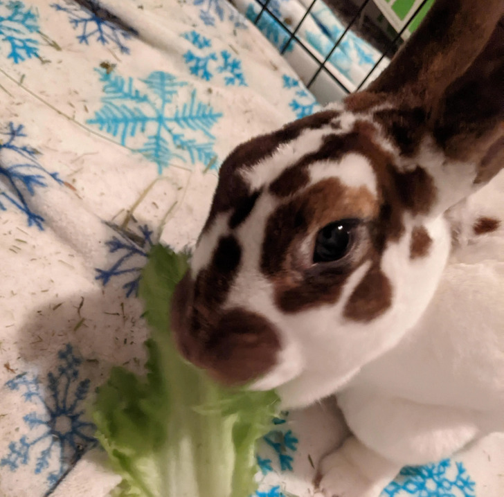 701e2d5b2589312b560086d4c3