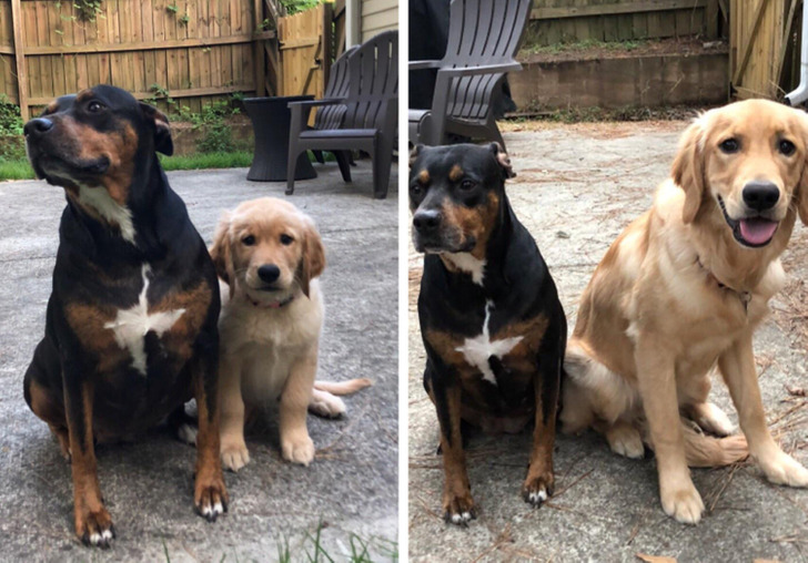 701e9059ed93cdb096c5b7f4c4