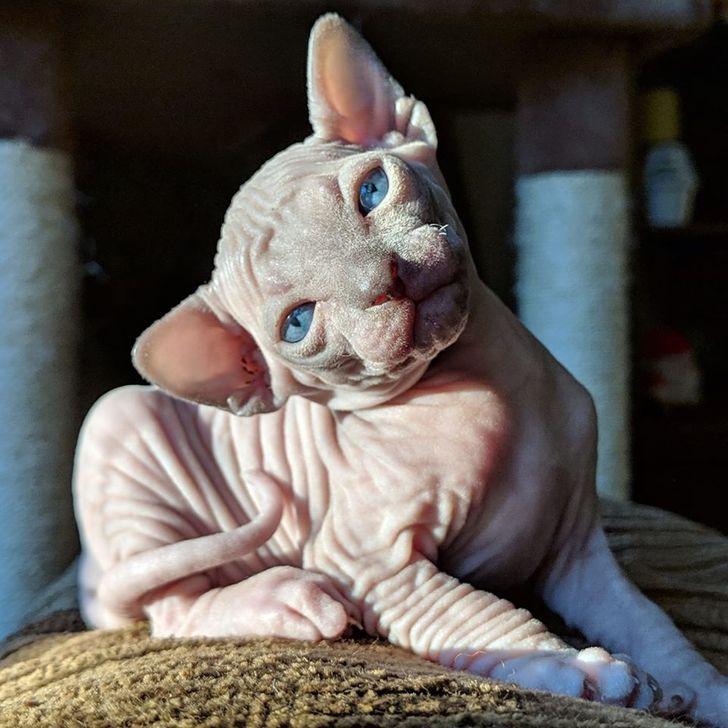 702b705f729e39fb3676984b38