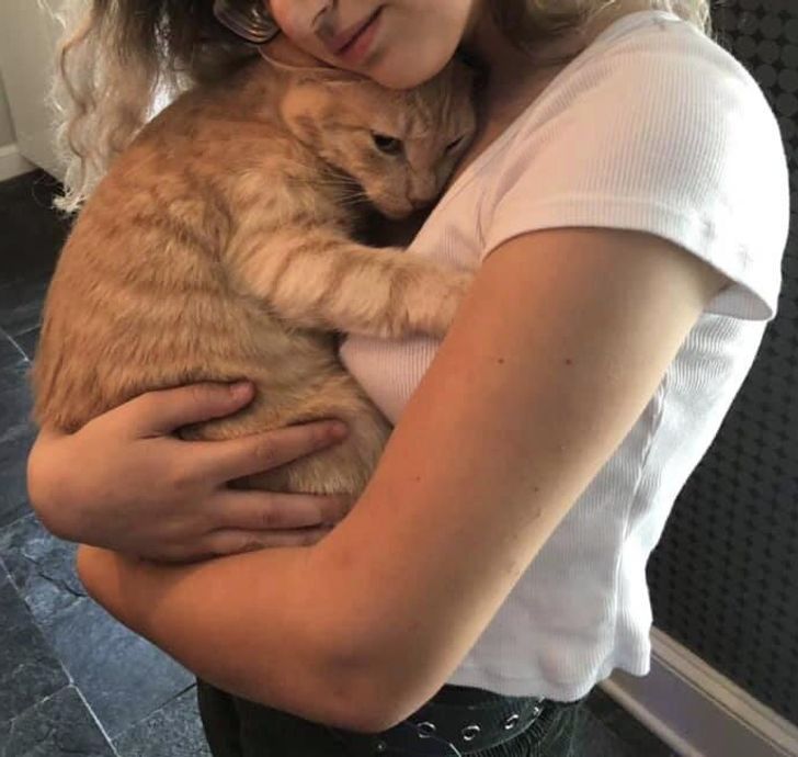 70336c5047a28f2c3c795f2331