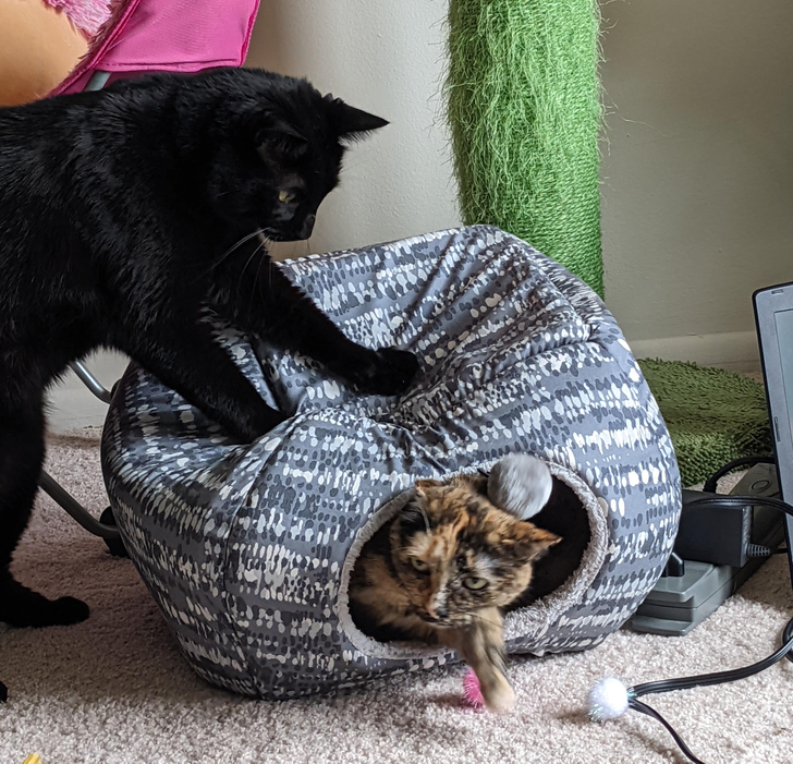 7038ba578d8115b93c1b4465c0