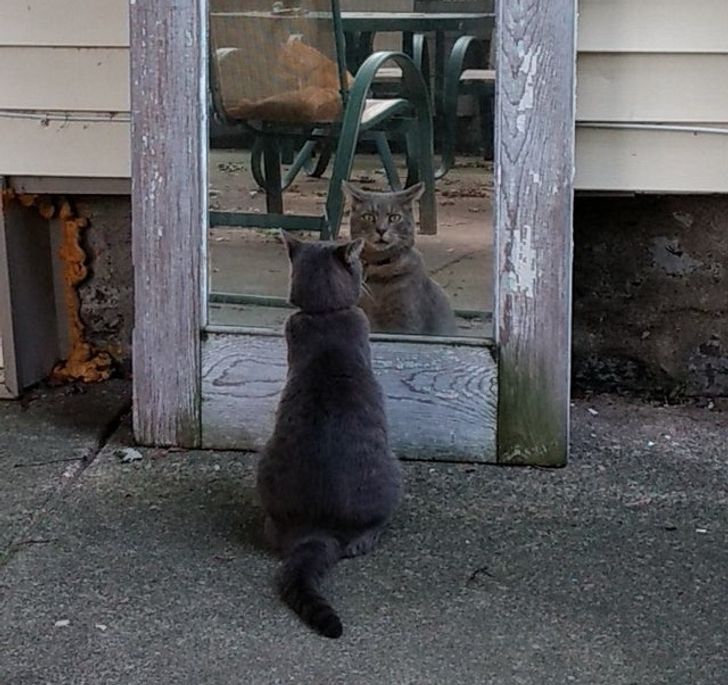 70409156888d94d3937b8be326