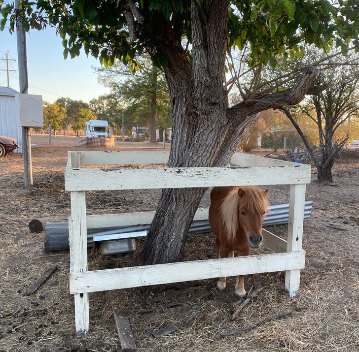 70412058d29752ea63e57fa91a