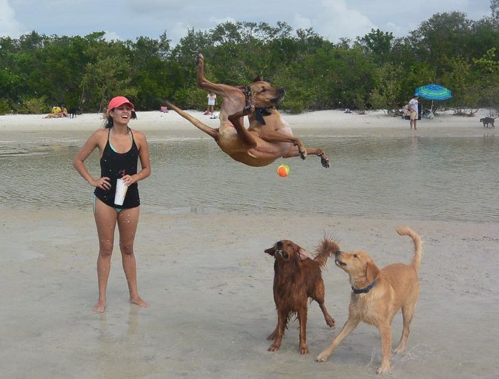 70424f5e1689926b9165f0714a