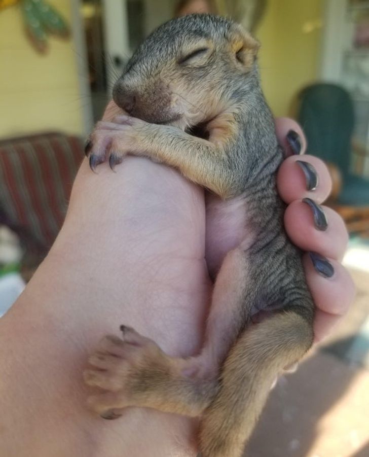 70494059c38deae89b63524c4e