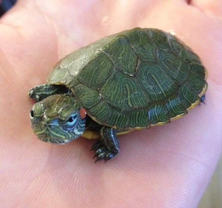 7053635e72991317b6adb6f5f5