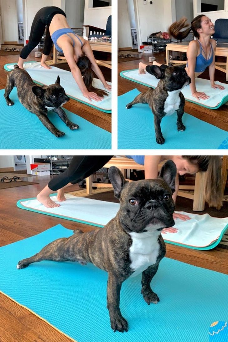 7055fb53049e01acb3aaf59224