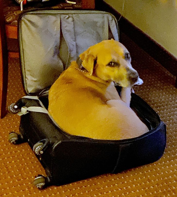 705a745b8b821ba4ad72be569f 705a745b8b821ba4ad72be569f