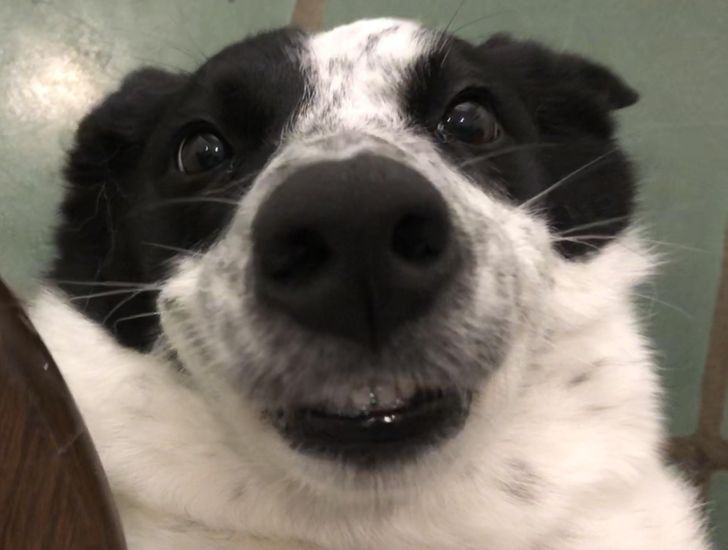 705bbe566c8efc05afdee6374b