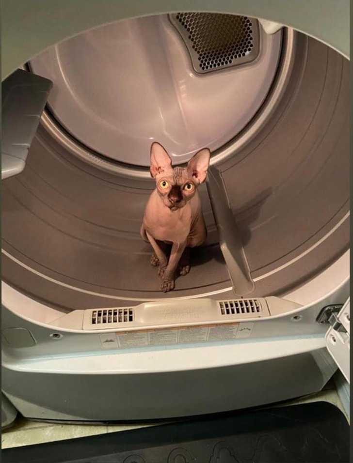 70634c5f8bbf62c5e419deefd8 70634c5f8bbf62c5e419deefd8