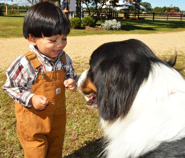 7065ef50738a9c174561b3f240