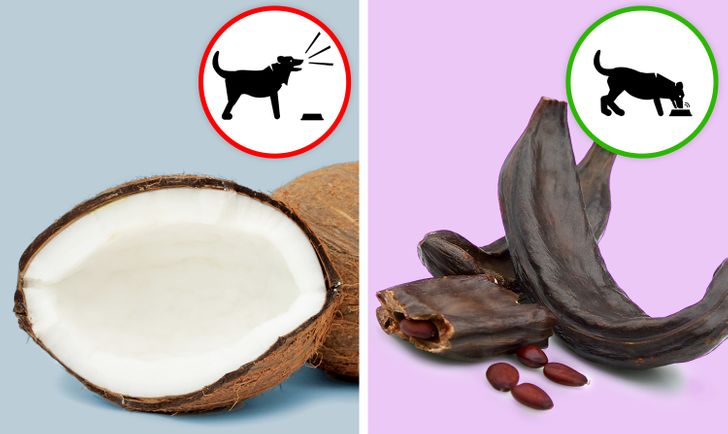 7066d65cfe8e517dca3c985ac7