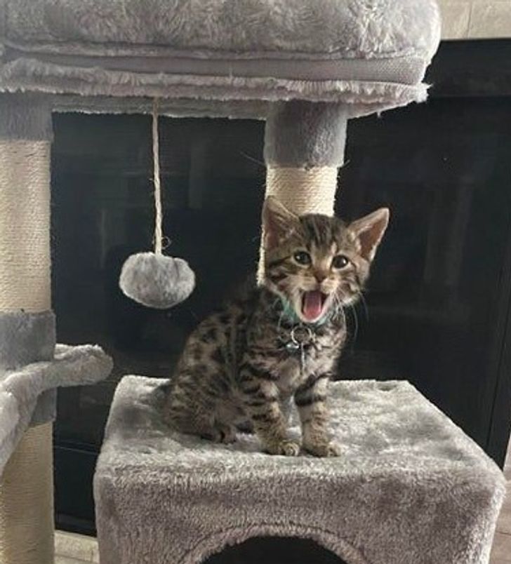 7075f2555a864467951e245238