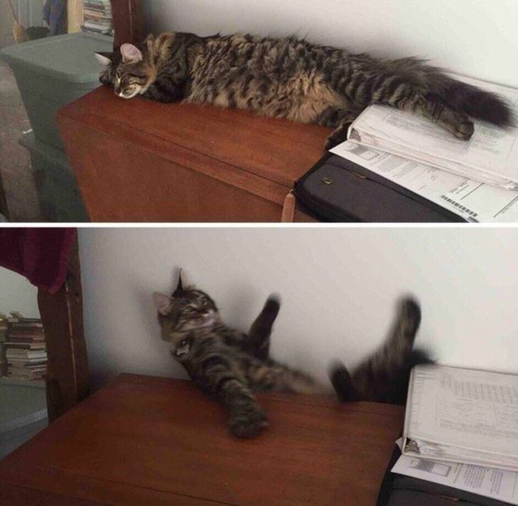 7076735709a15304ffebb51d19