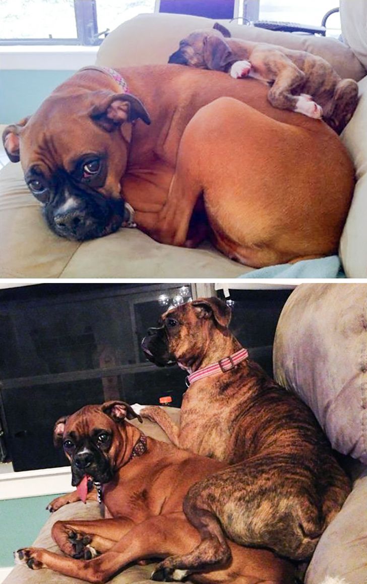 70835a534b913aa945ed8794fc