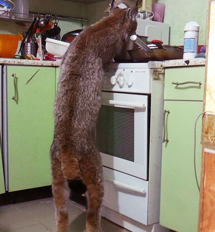 708a8357eeae945aba7598d05b