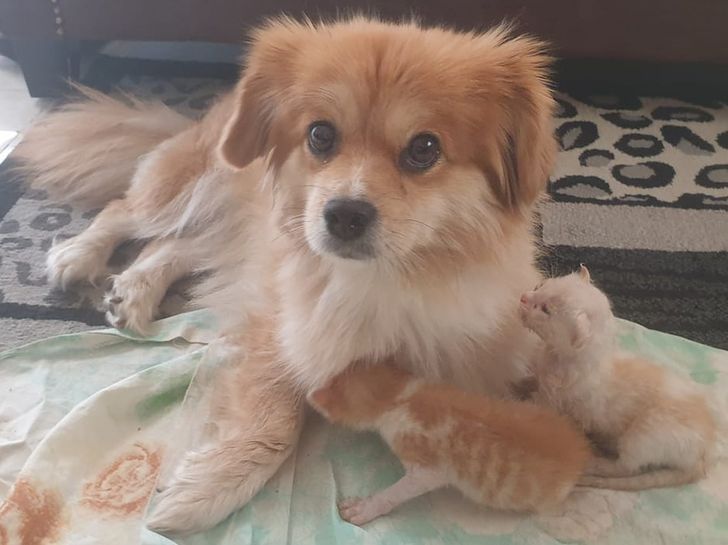 7091b755df8f90c3d68898a763