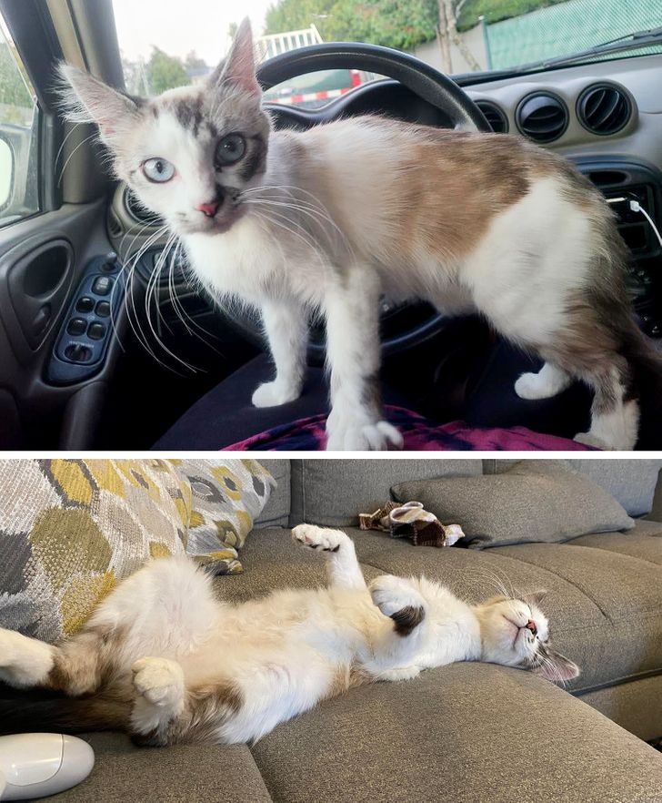 7091f75ddabc2ce465b948946f