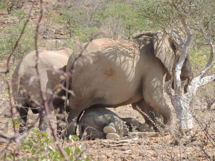 70930858e79424f7f04a3ba654