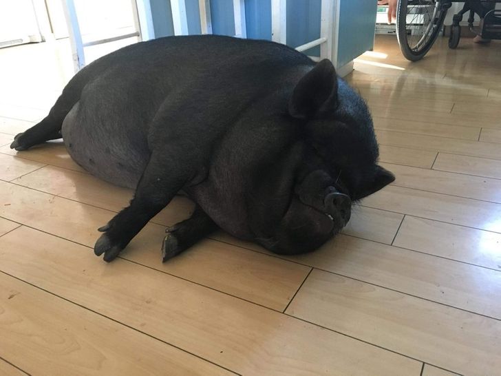 7093f35843a26e6e160251e319