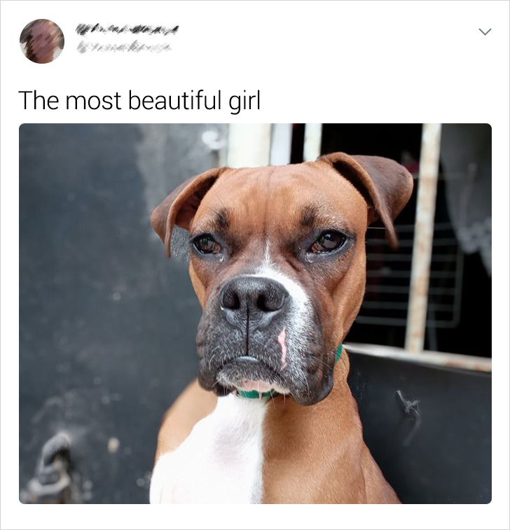 7095bb58e7a8b10c95a21604db