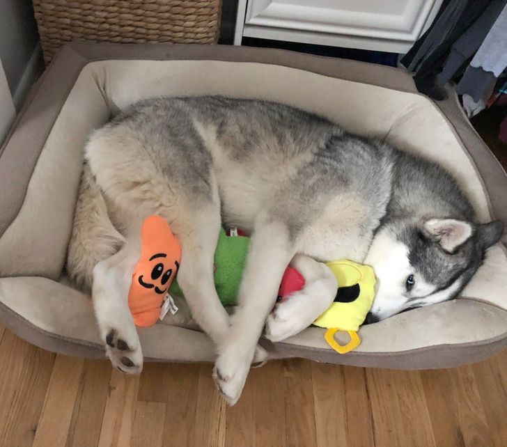 7098645dbeb5aa82a34c56b1b4