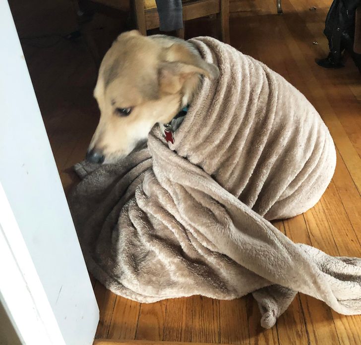 70994759cfa2cbeedf30bd9ae2