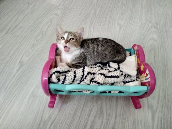 70a0ea5fd0b88890e07eb0fee6