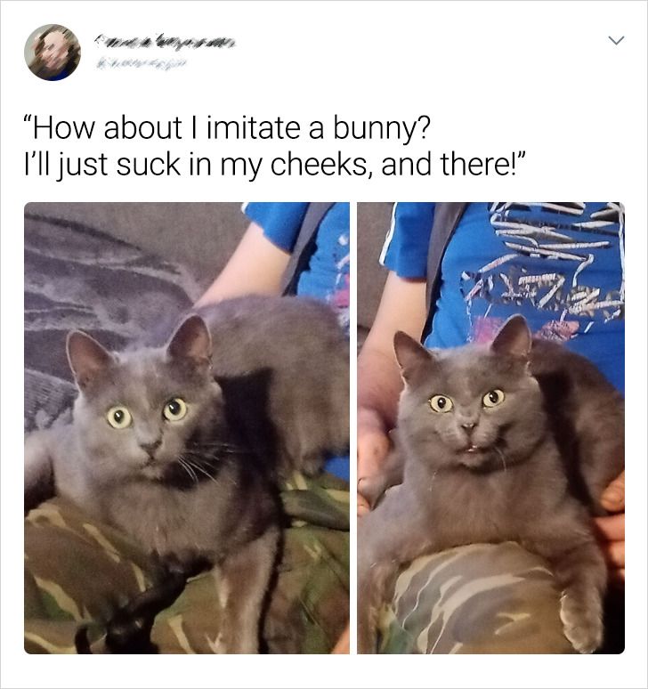 70a4865a2da8772c069b267726