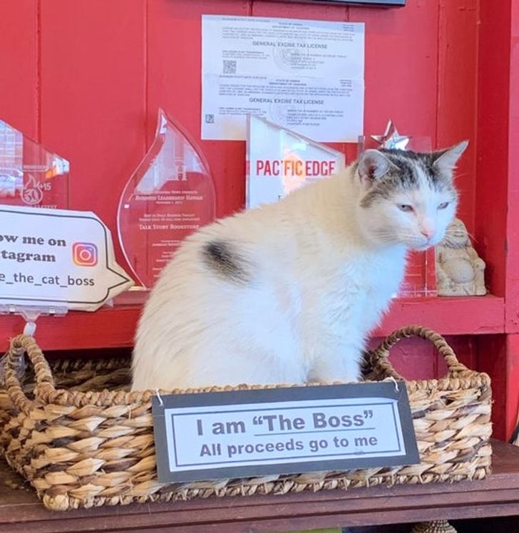 70a8d35c45a5e620ebf6964496