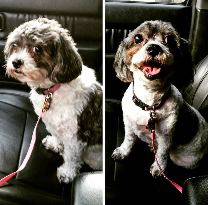 70b5d751288261b3802c418104