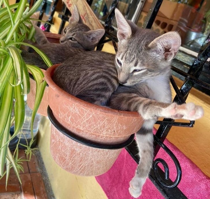 70b61a54be963568dac0a8c168