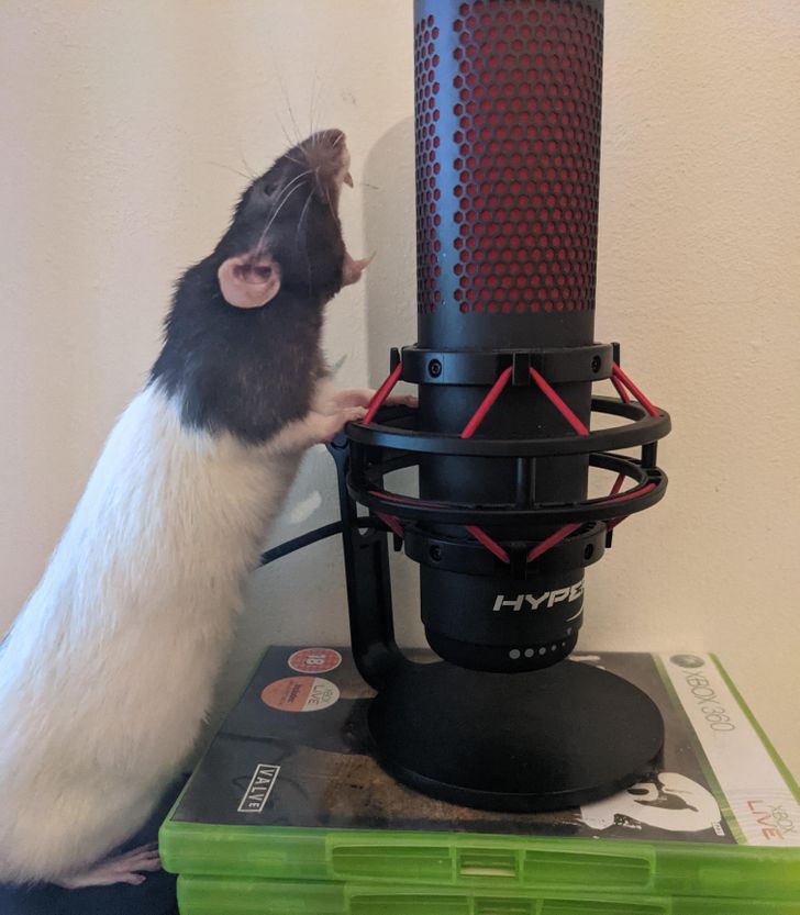 70c4185f2184016f735685af5f