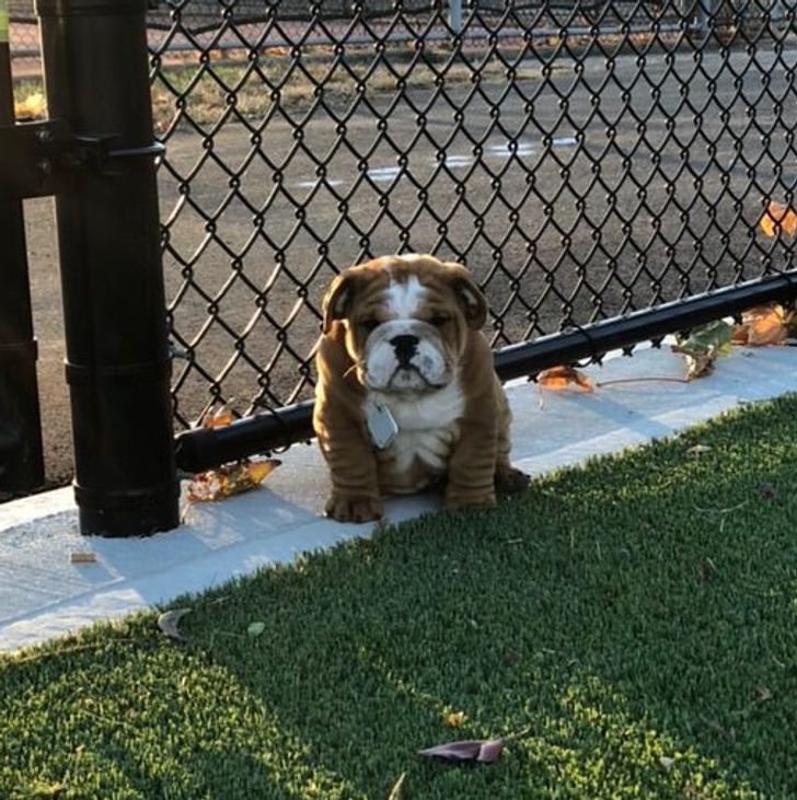 70cae359ef9899167a805b0940