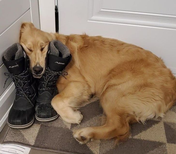 70cc205c589be3bce06abb1f89