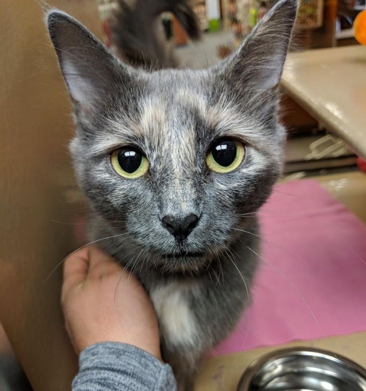 70cc5e5e8782a6a444c58b5817