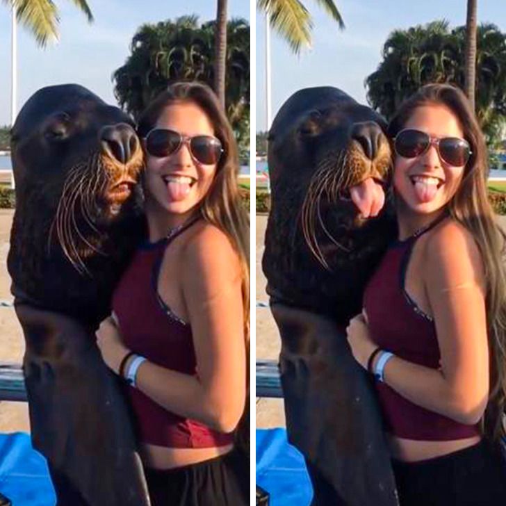 70d1e35403b96e92be29c7884e