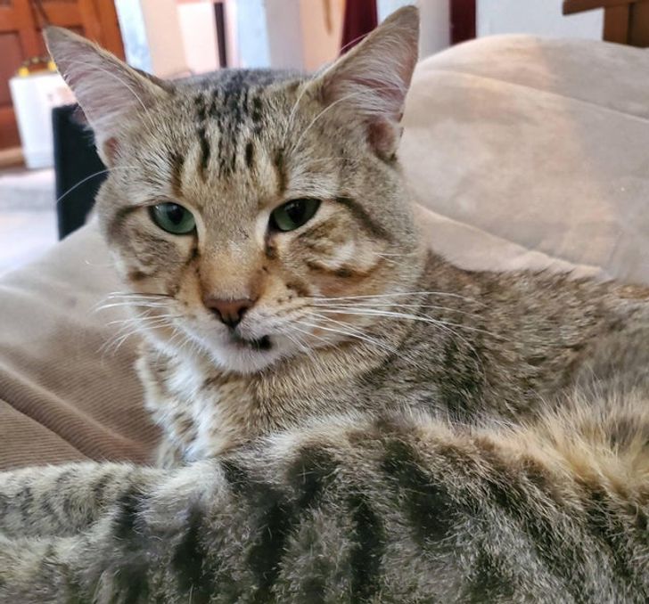 70d94155ce9b6bc63333642237