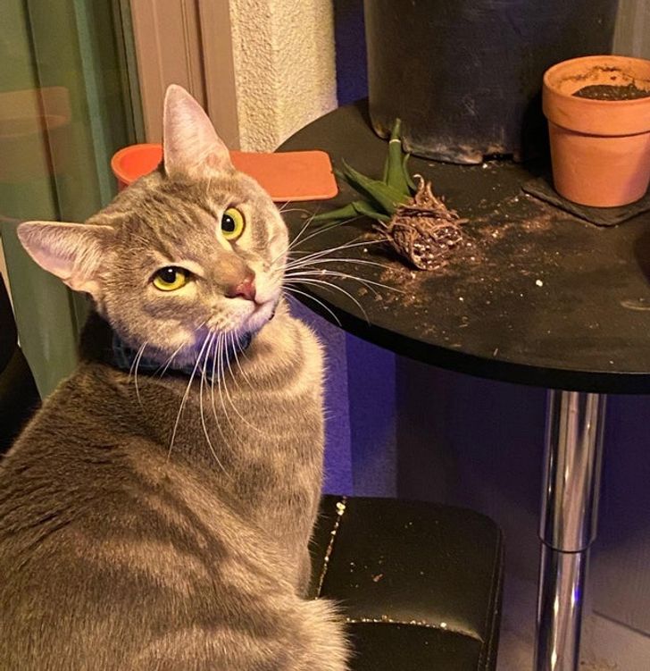 70e5c6527f842bf8f22bcd2bc4